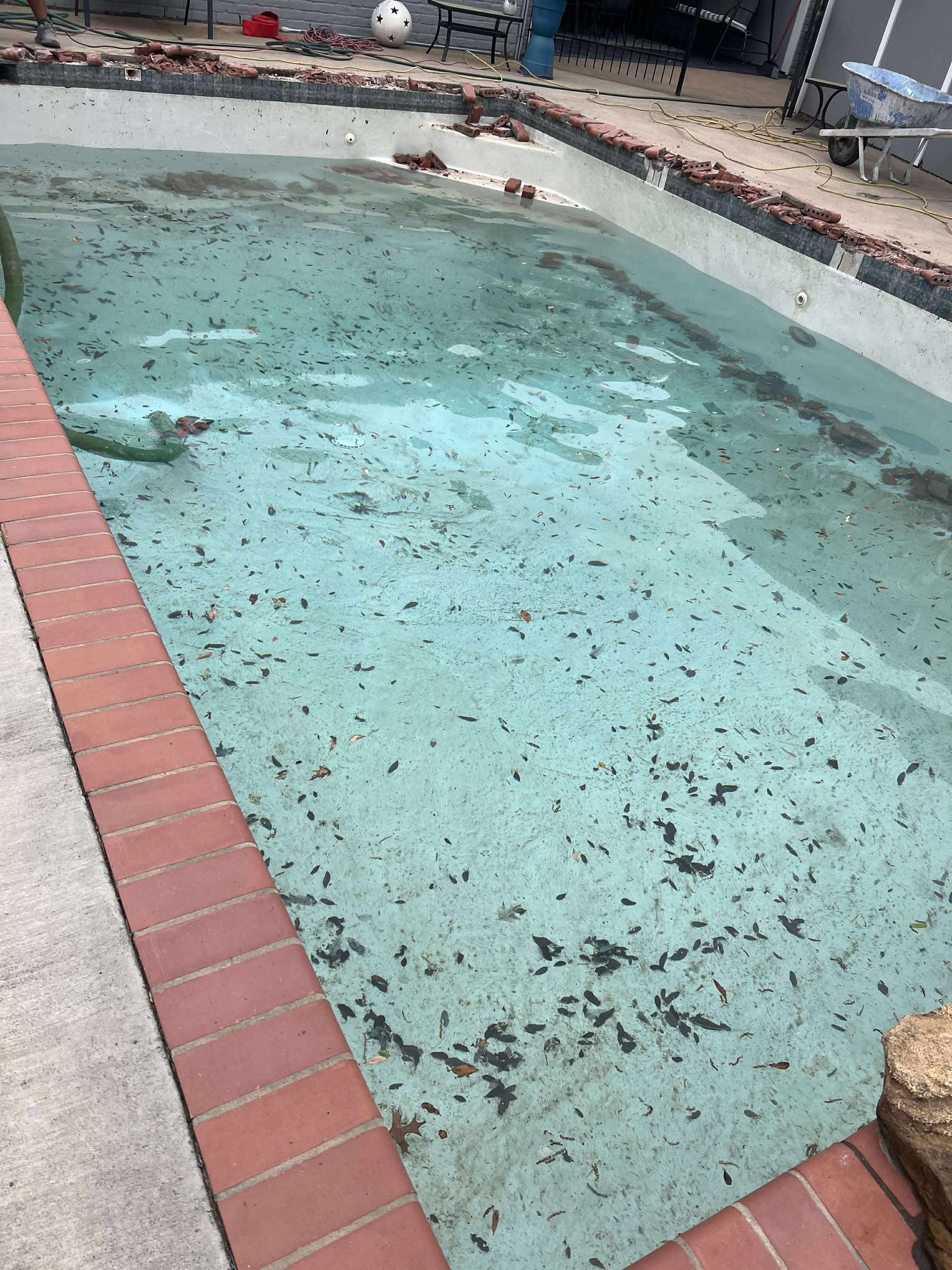 489730990_660760576677772_5968892071559318880_n